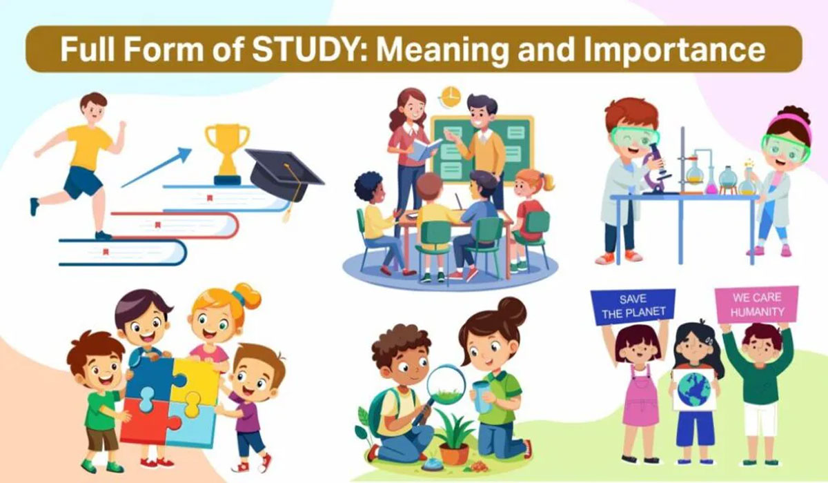 From Struggle to Success! Student Stories That Everyone Needs to Hear